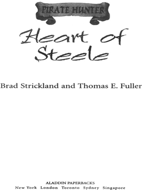 Cover image for book Heart of Steele