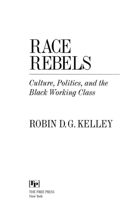 Cover image for book Race Rebels