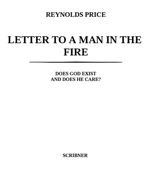 Cover image for book Letter To A Man In The Fire