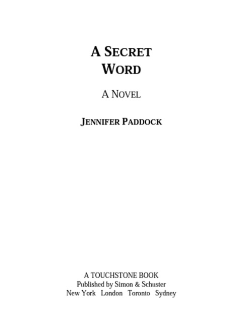 Cover image for book A Secret Word