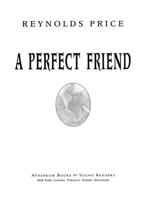 Cover image for book A Perfect Friend