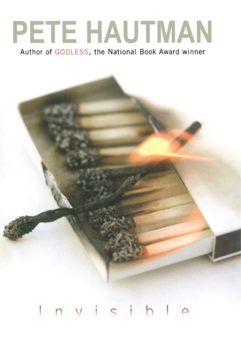 Cover image for book Invisible