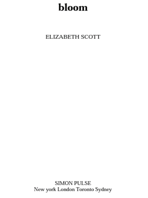 Cover image for book Bloom