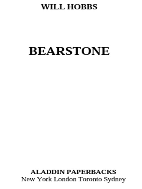 Cover image for book Bearstone