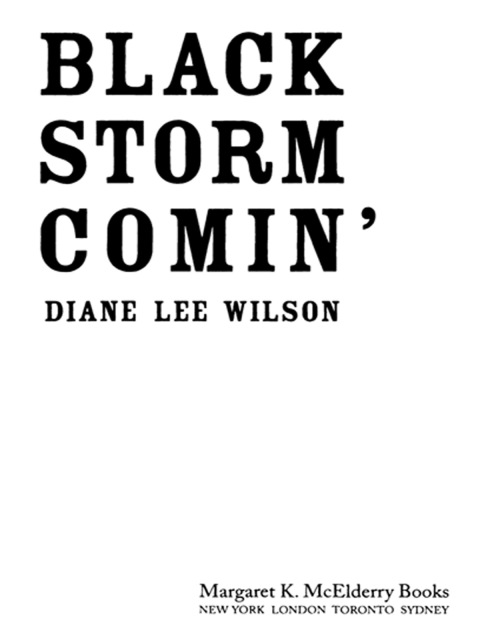 Cover image for book Black Storm Comin'
