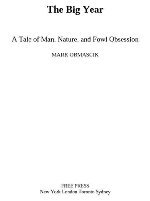 Cover image for book The Big Year