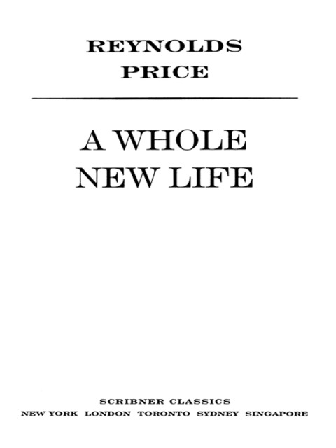 Cover image for book A Whole New Life