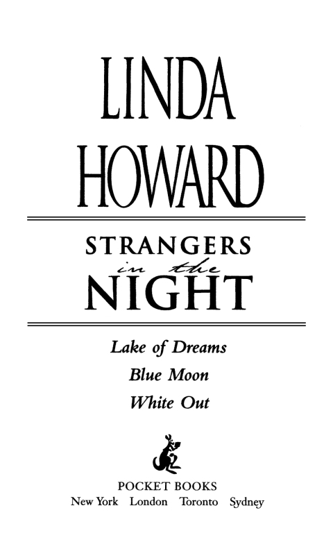 Cover image for book Strangers in the Night