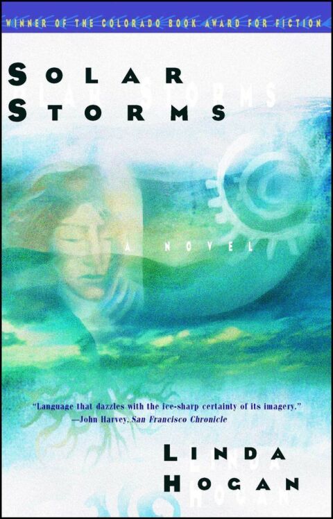 Cover image for book Solar Storms