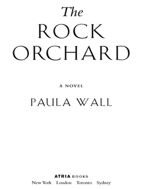 Cover image for book The Rock Orchard
