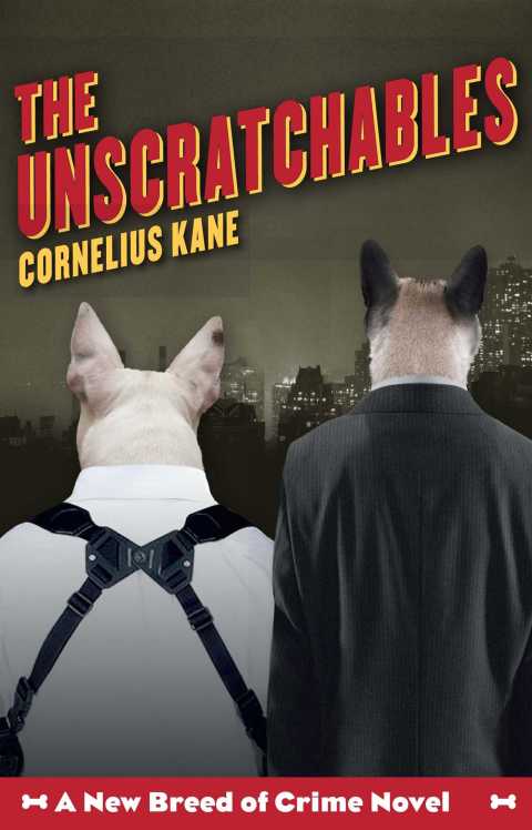 Cover image for book The Unscratchables