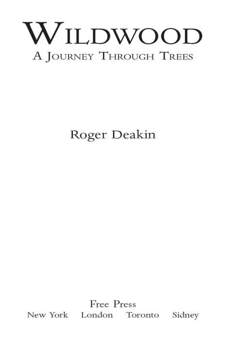 Cover image for book Wildwood