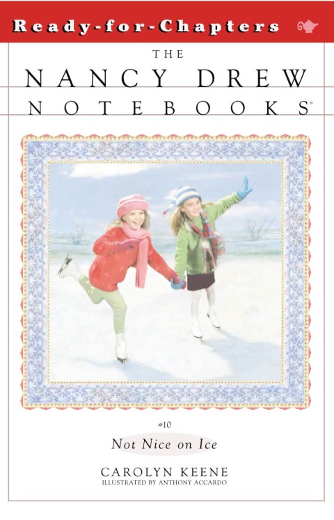 Cover image for book Not Nice on Ice