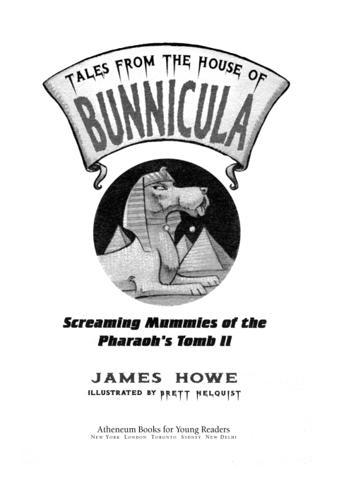 Cover image for book Screaming Mummies of the Pharaoh's Tomb II