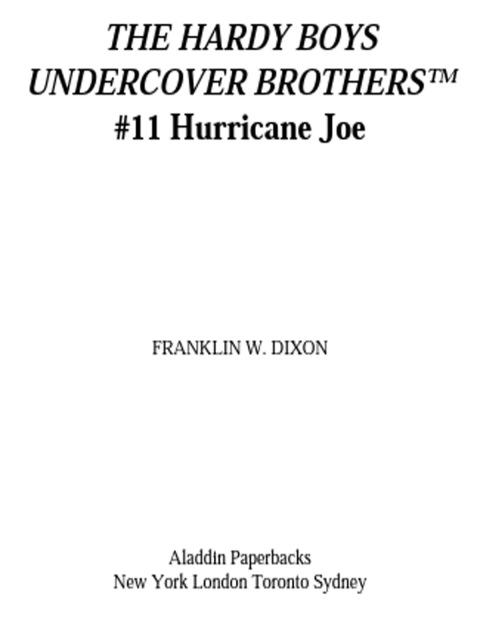 Cover image for book Hurricane Joe