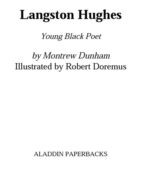 Cover image for book Langston Hughes