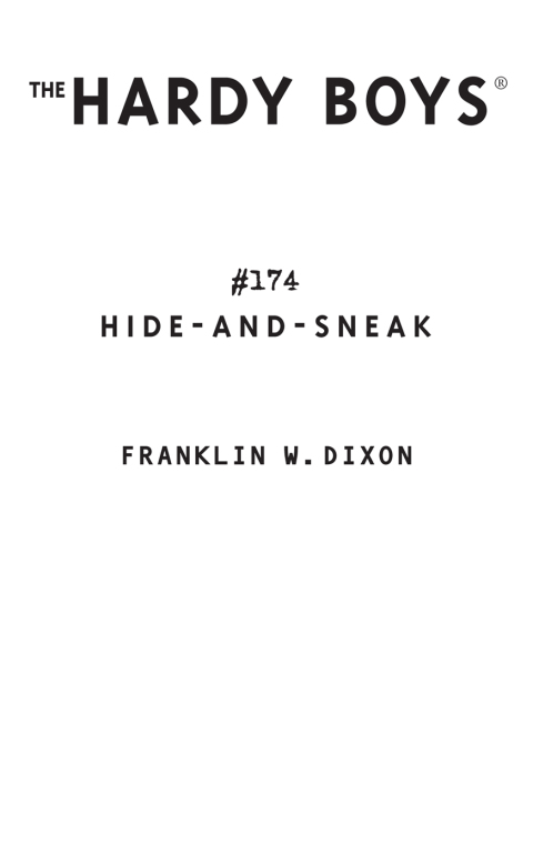 Cover image for book Hide-and-Sneak