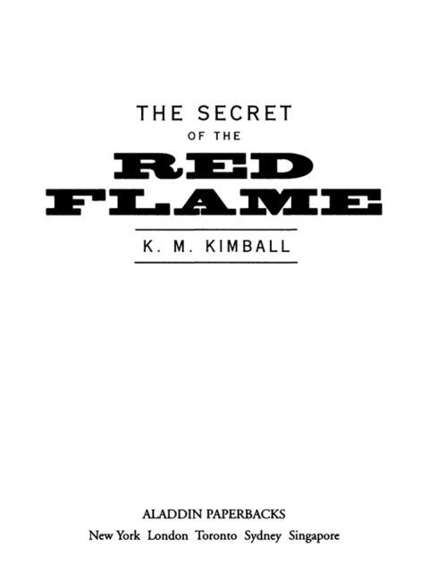Cover image for book The Secret of the Red Flame