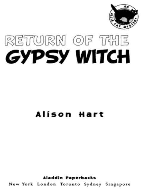 Cover image for book Return of the Gypsy Witch