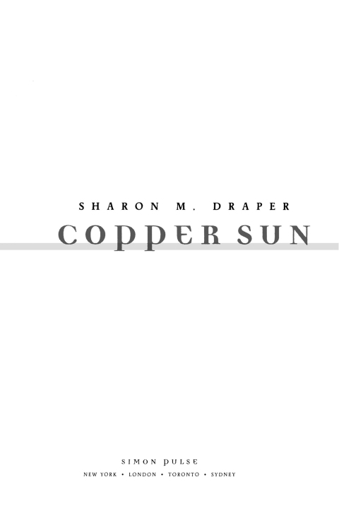 Cover image for book Copper Sun