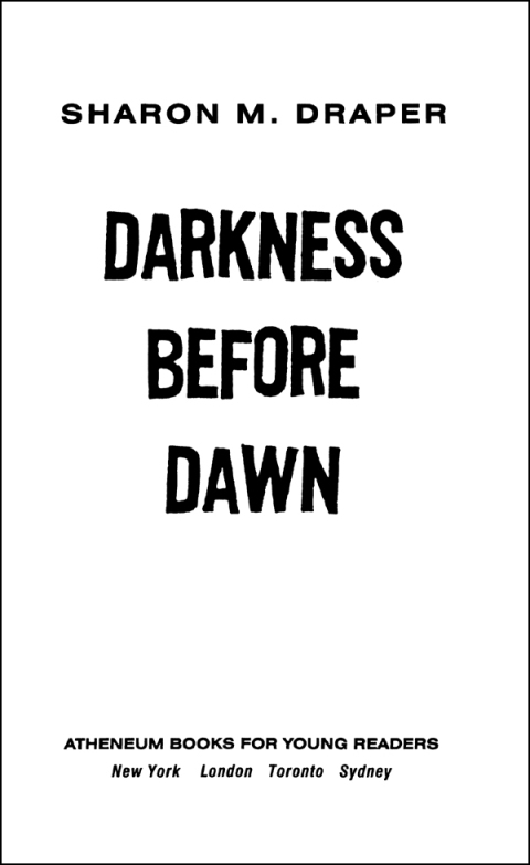 Cover image for book Darkness Before Dawn