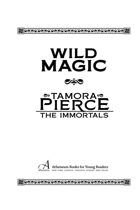 Cover image for book Wild Magic