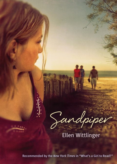 Cover image for book Sandpiper