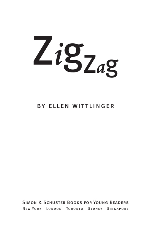 Cover image for book Zigzag