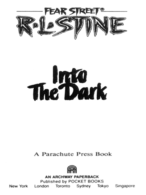 Cover image for book Into the Dark