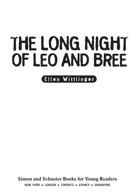 Cover image for book The Long Night of Leo and Bree