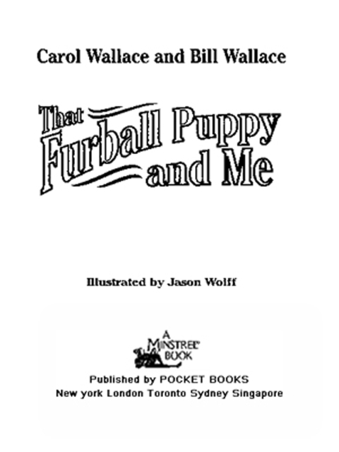 Cover image for book That Furball Puppy and Me