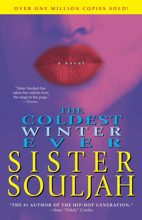 Cover image for book The Coldest Winter Ever