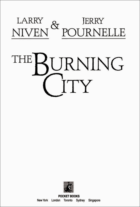 Cover image for book The Burning City