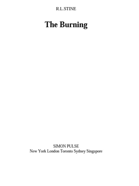 Cover image for book The Burning