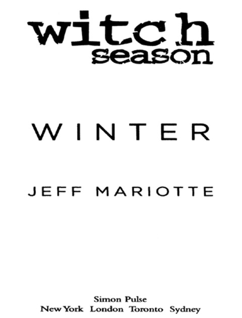 Cover image for book Winter
