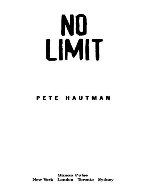 Cover image for book No Limit