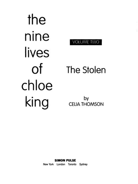 Cover image for book The Stolen