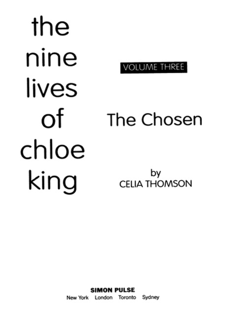 Cover image for book The Chosen