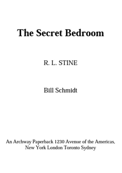 Cover image for book The Secret Bedroom