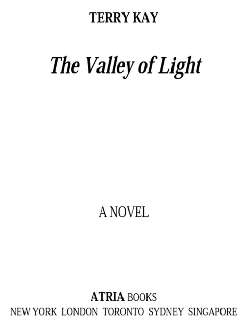 Cover image for book The Valley of Light