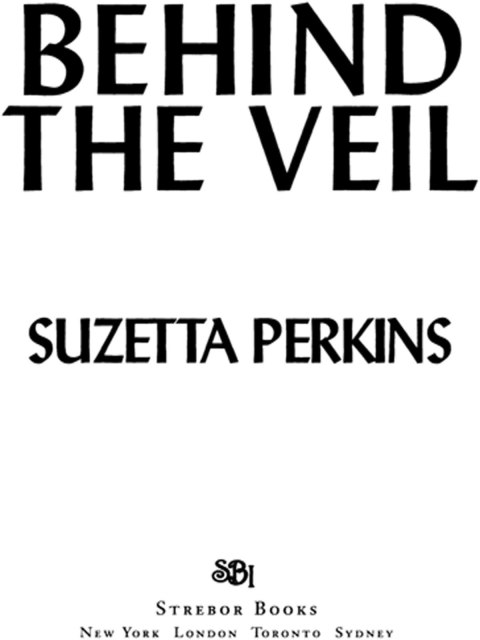 Cover image for book Behind the Veil