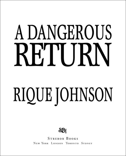 Cover image for book A Dangerous Return