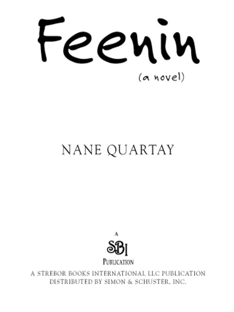 Cover image for book Feenin