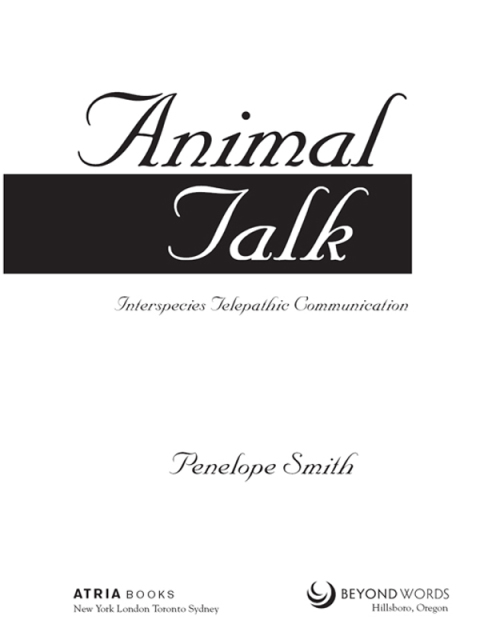 Cover image for book Animal Talk