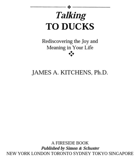 Cover image for book Talking to Ducks