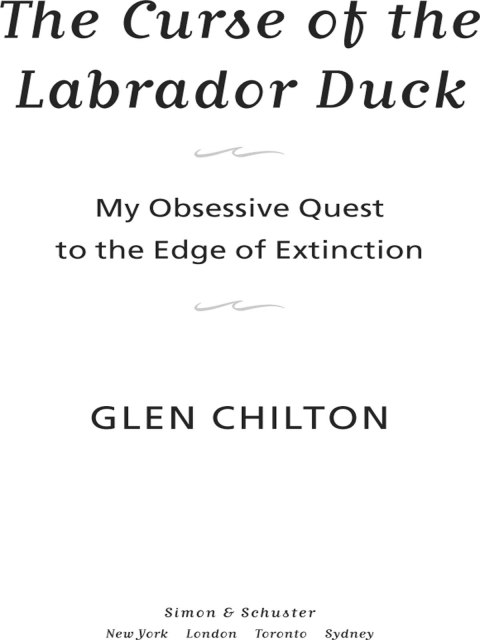 Cover image for book The Curse of the Labrador Duck