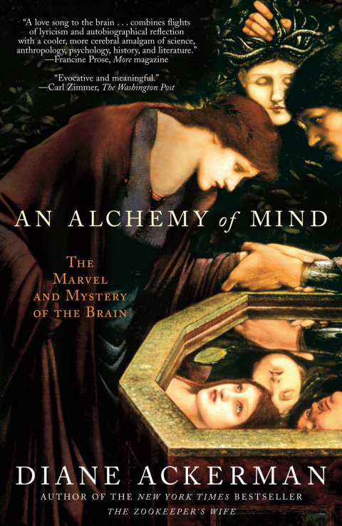Cover image for book An Alchemy of Mind