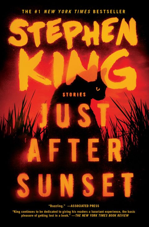 Cover image for book Just After Sunset