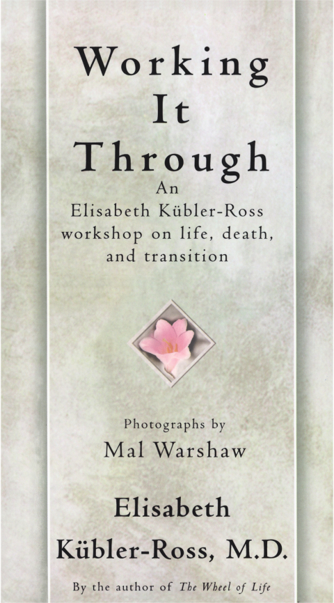 Cover image for book Working It Through