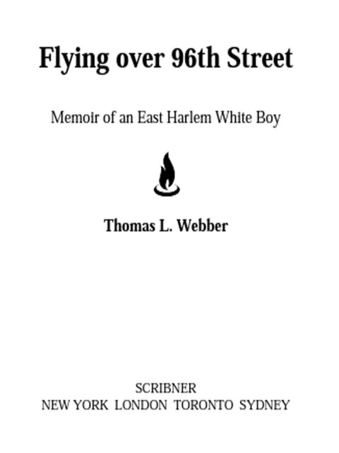 Cover image for book Flying over 96th Street